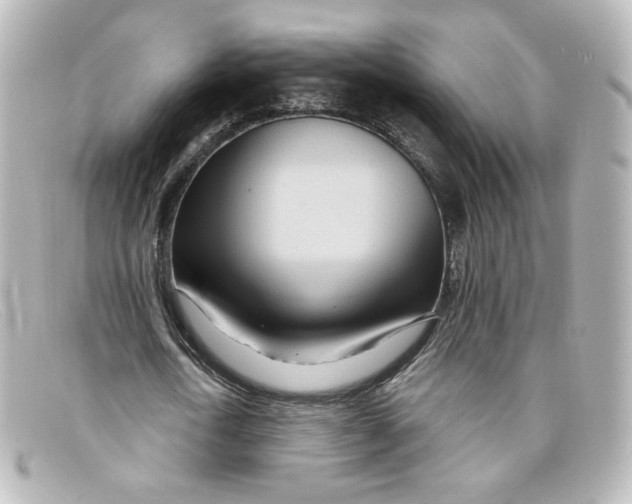 X0000098150722200805081041