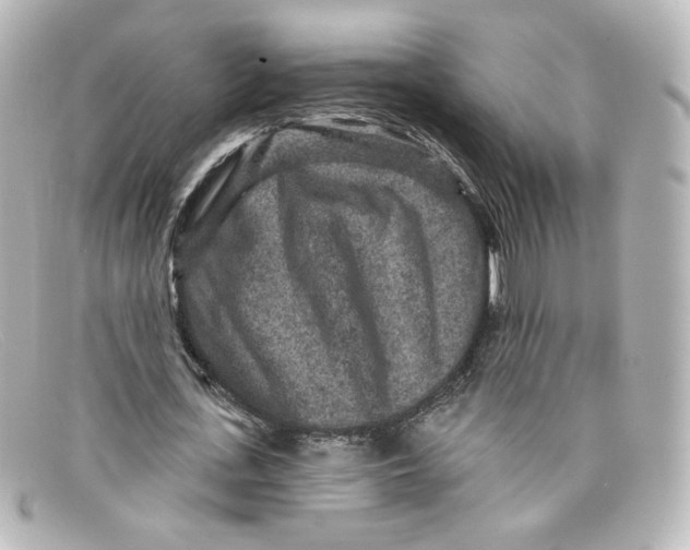 X0000098150723200805081041