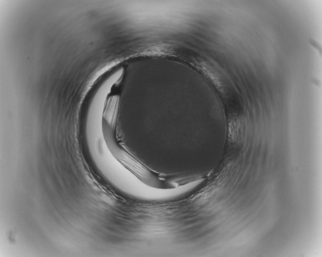 X0000098150724200805081041