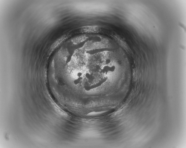 X0000098150725200805081041