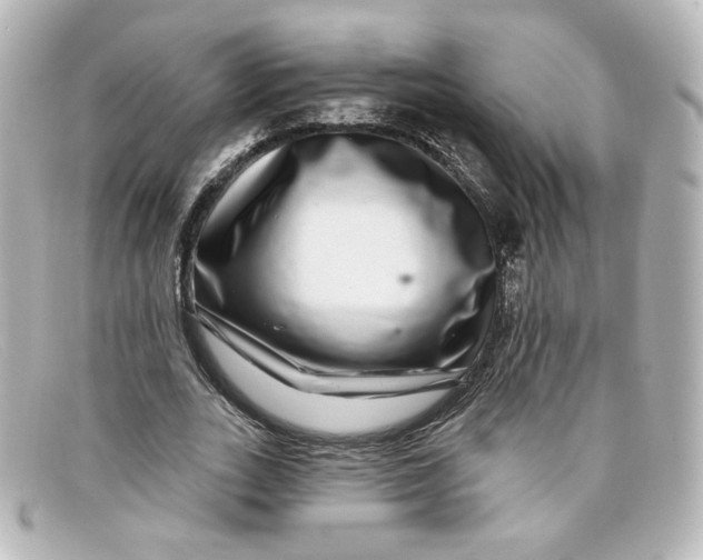 X0000098150727200805081041