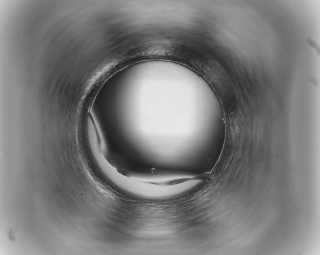 X0000098150728200805081041