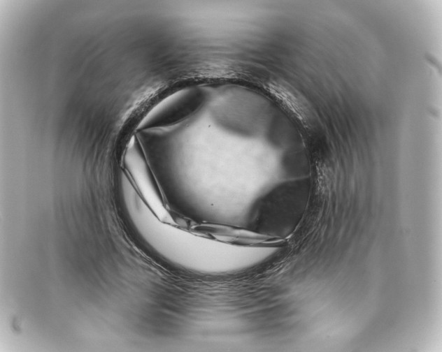 X0000098150731200805081041