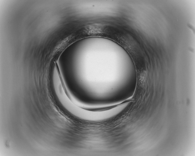 X0000098150732200805081041
