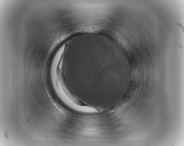 X0000098150736200805081041