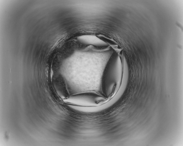 X0000098150739200805081041