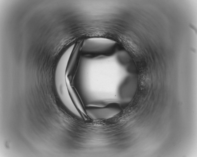 X0000098150743200805081041