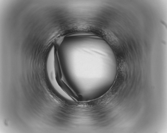 X0000098150744200805081041