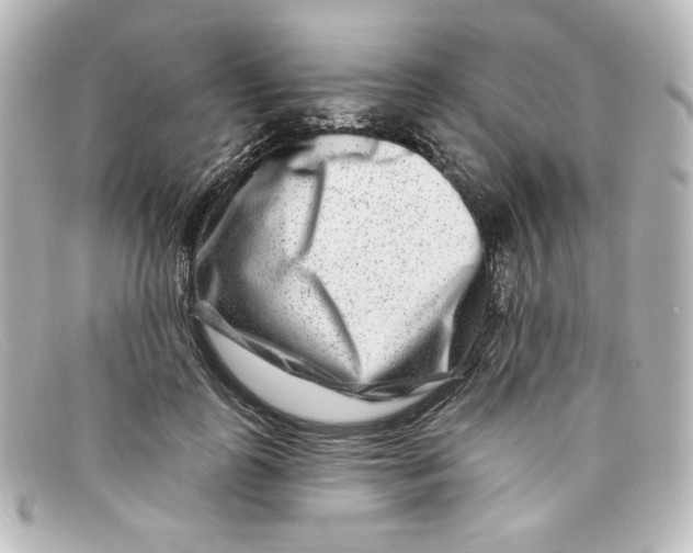 X0000098150747200805081041