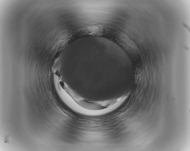 X0000098150748200805081041