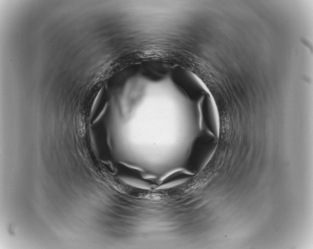 X0000098150751200805081041