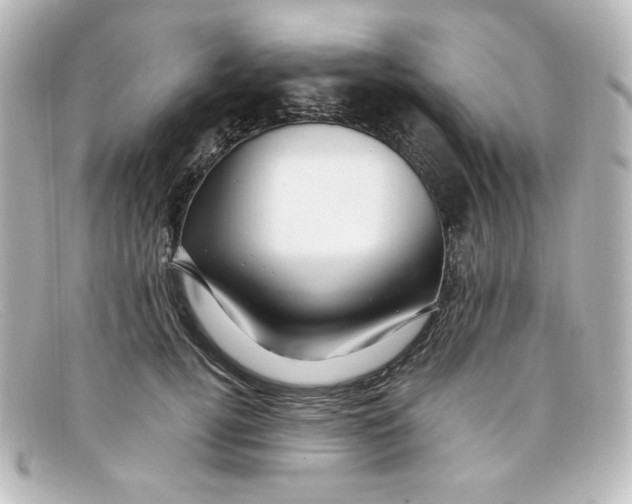 X0000098150752200805081041