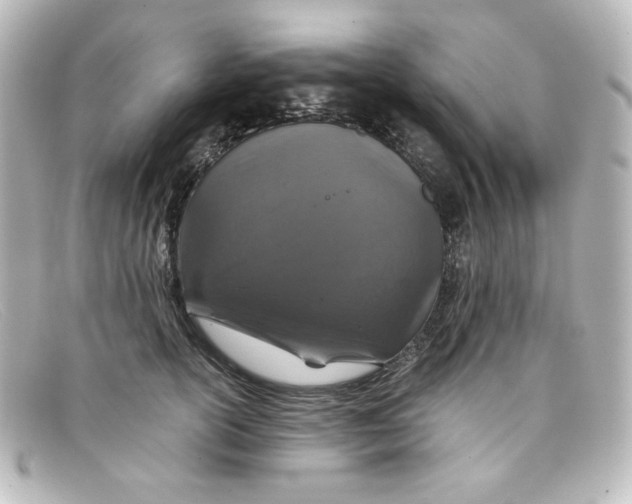 X0000098150754200805081041
