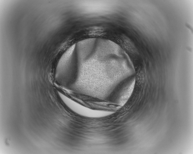 X0000098150755200805081041