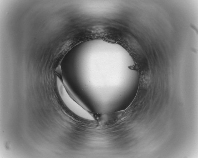 X0000098150756200805081041