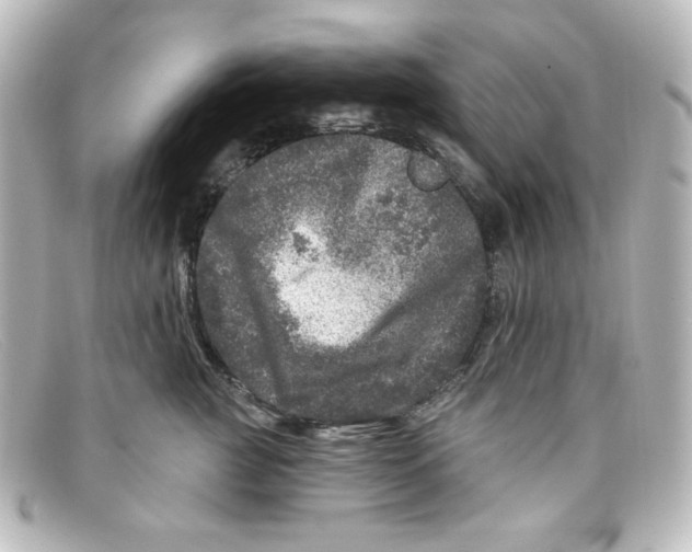 X0000098150761200805081042