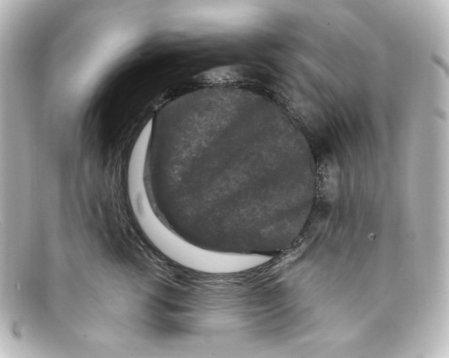 X0000098150762200805081042