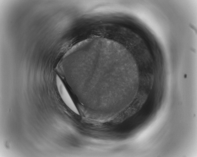 X0000098150766200805081042