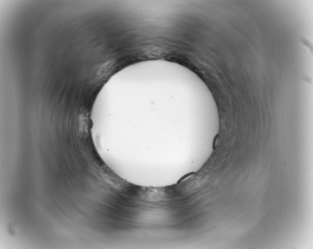 X0000098150768200805081042