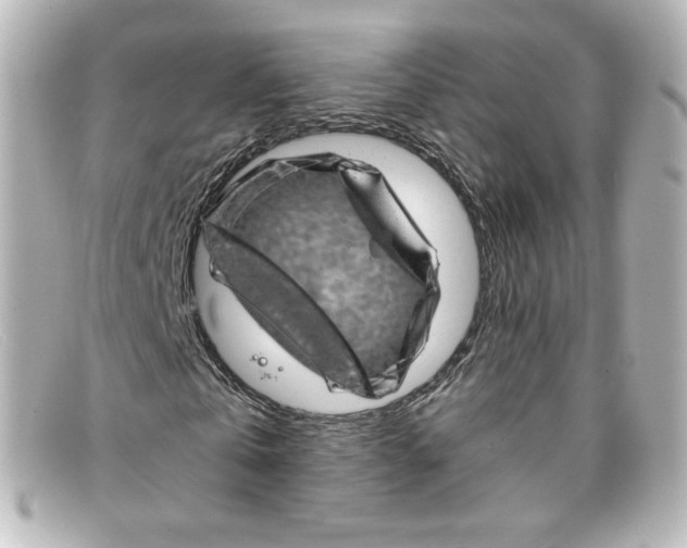 X0000098150769200805081041