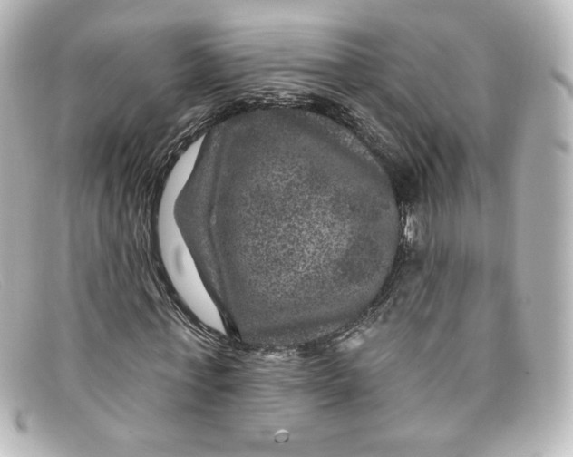 X0000098150771200805081041
