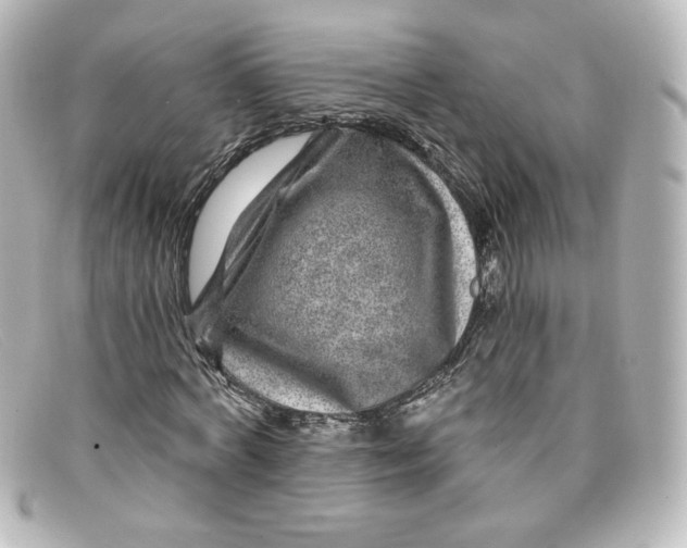 X0000098150772200805081041