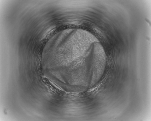 X0000098150774200805081041