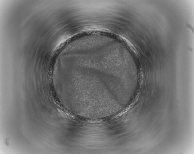 X0000098150775200805081041