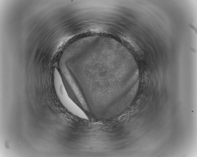 X0000098150776200805081041