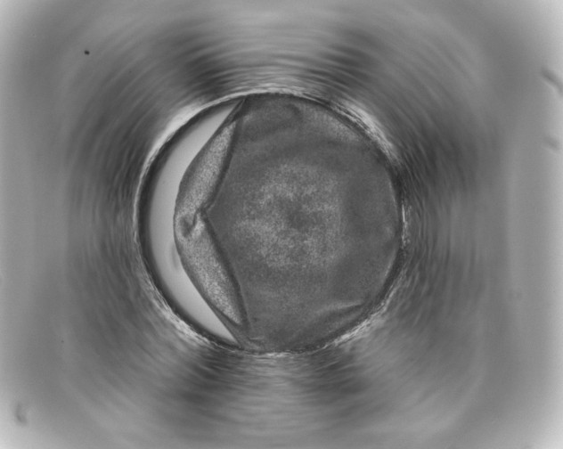 X0000098150780200805081041