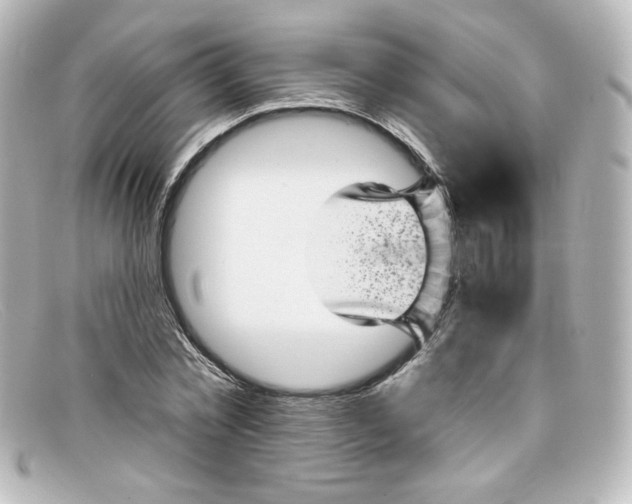 X0000098150781200805081041