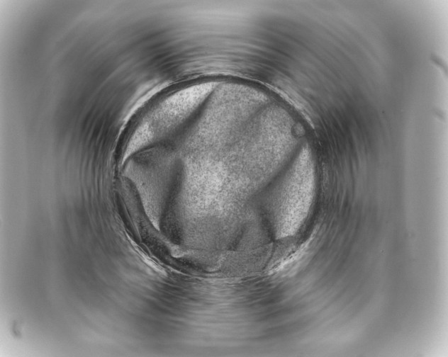 X0000098150782200805081041