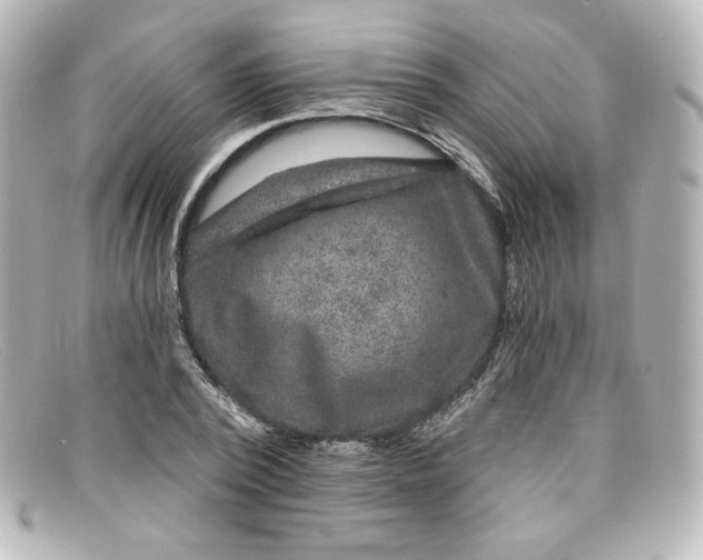 X0000098150784200805081041