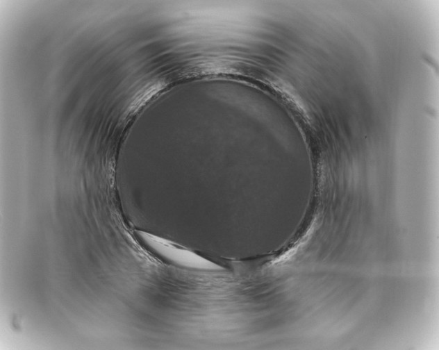 X0000098150785200805081041