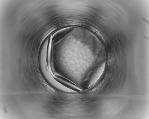 X0000098150786200805081041