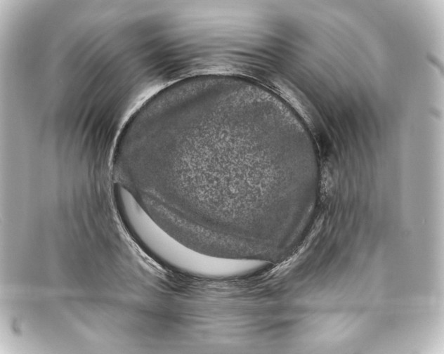 X0000098150787200805081041