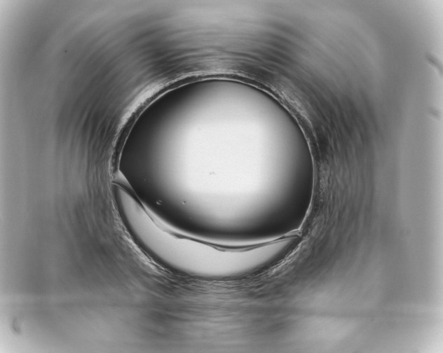 X0000098150789200805081041