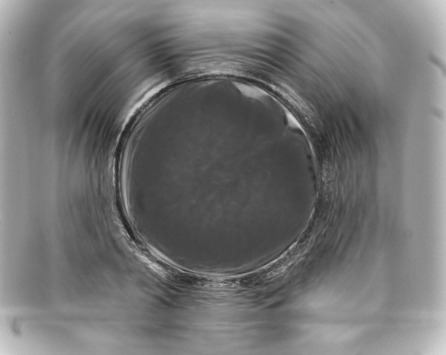 X0000098150790200805081041