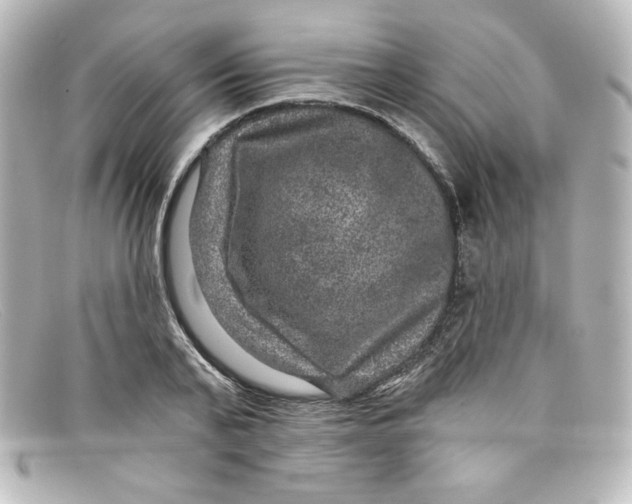 X0000098150791200805081041