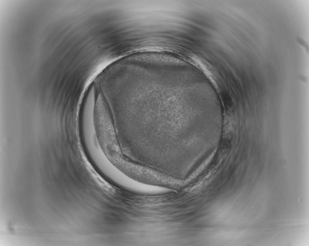 X0000098150795200805081041