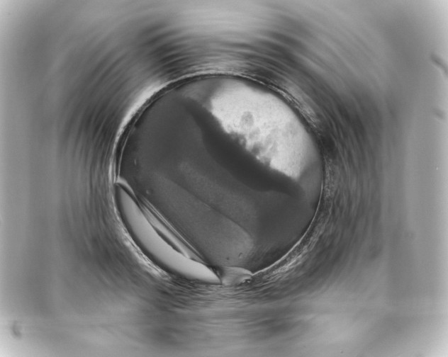 X0000098150796200805081041