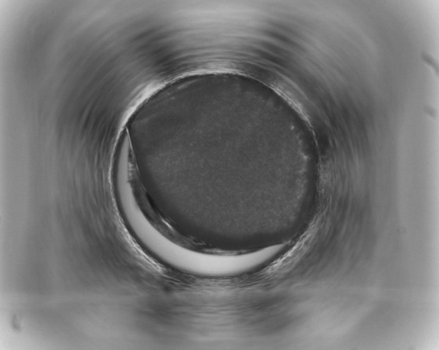 X0000098150797200805081041
