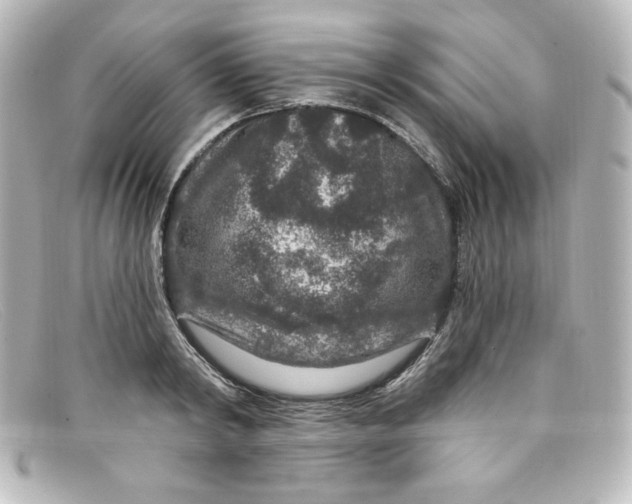 X0000098150798200805081041