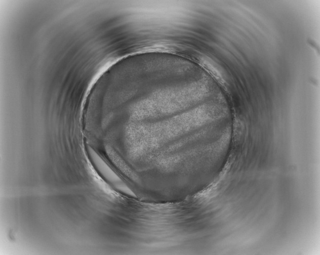 X0000098150800200805081041