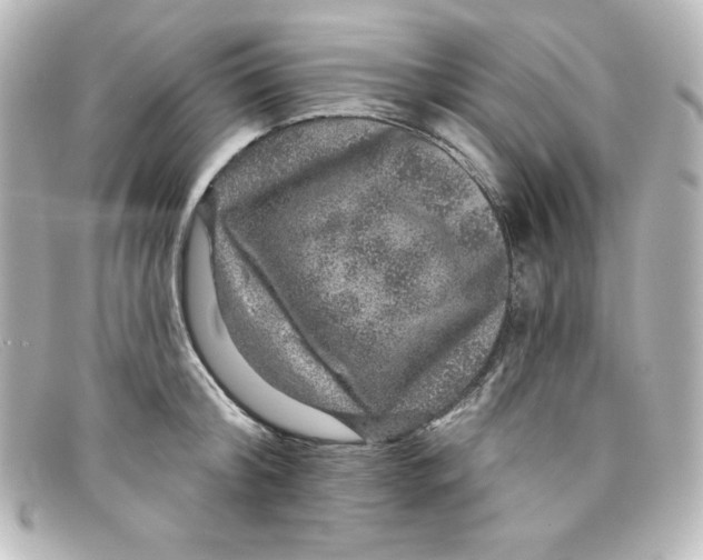 X0000098150804200805081040