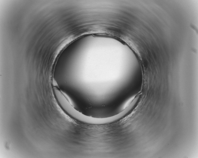 X0000098150805200805081040