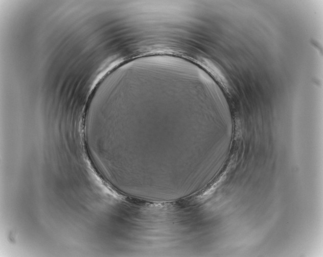X0000098150806200805081040