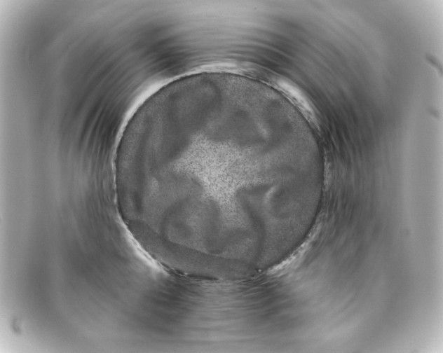 X0000098150808200805081040