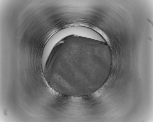 X0000098150809200805081040