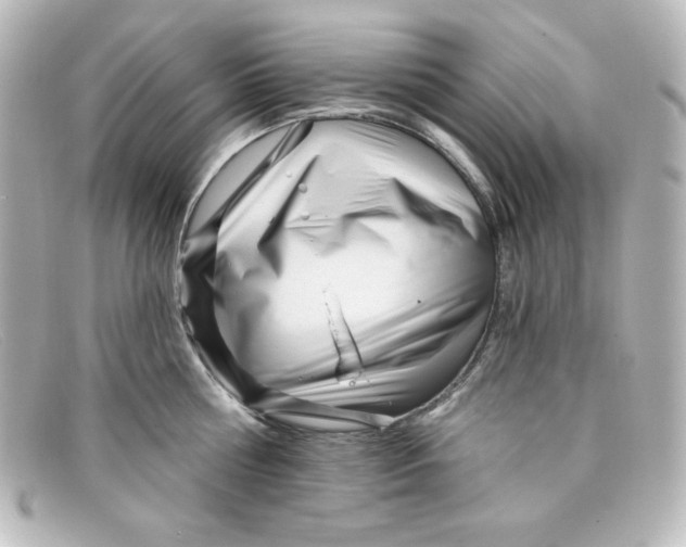 X0000098150810200805081040
